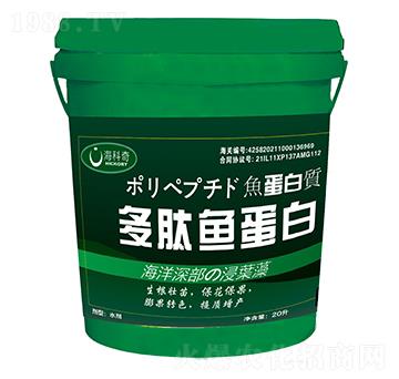 �����~����-������