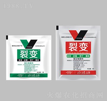 ֲ�����B(t��i)���a��-��׃-������r