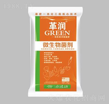 ΢�������-�-������r