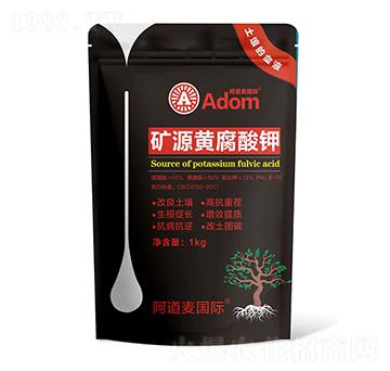 �VԴ�S�����-������