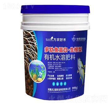 �����~����-������-��֮��