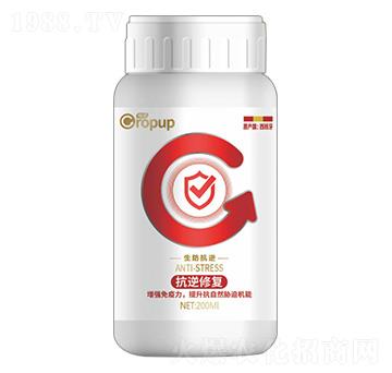 ���������(l��i)�~���-���Z-�ƈD�ع�