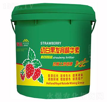 �װ׹��l(f��)�����A��-����-�����S