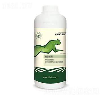 ���{(di��o)��(ji��)���״��M��-���}ů�-�G���_