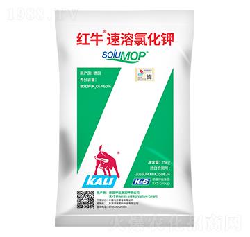 �tţ�����Ȼ��-����}�r(n��ng)�I(y��)