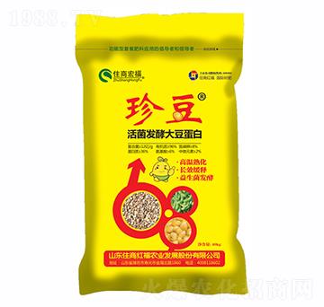 ����l(f��)�ʹ󶹵���-�䶹-ס�̺긣