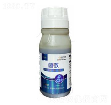 ����������������-����-�ډѴT�S-��������