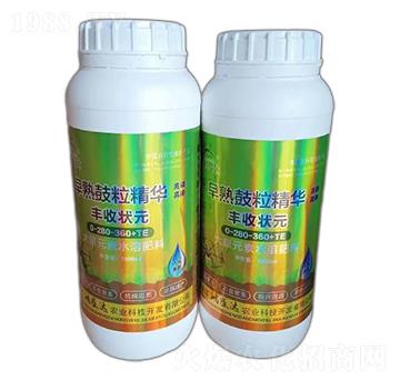 早熟鼓粒精華-鴻盛達