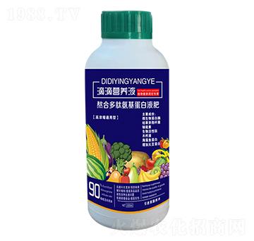 �εΠI�B(y��ng)Һ-��ʢ�_