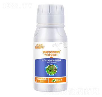 ������������-ݮݮ��(l��)-�����