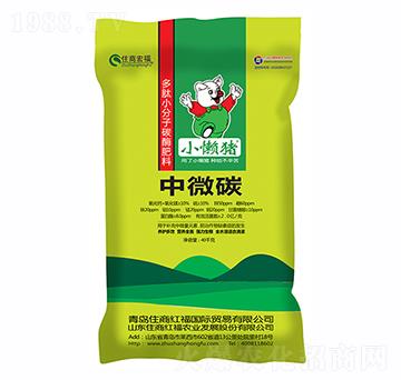 ��΢̼-С���i-ס�̇�(gu��)�H