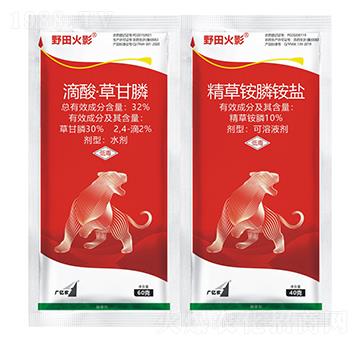 32%���ᡤ�ݸ��ˮ��+10%�����@��@�}-Ұ���Ӱ-���˻��W