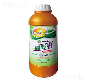 С��������̼-��(f��)�K��-�����r(n��ng)�I(y��)