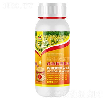 ���������S��΢�������