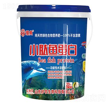 С���~(y��)����-����-���r(n��ng)����