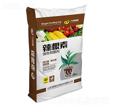 ������΢�������-��̩����