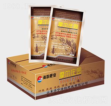 Ħ���f�@-�������