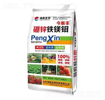 ���\�F�V�f-�����S-�������