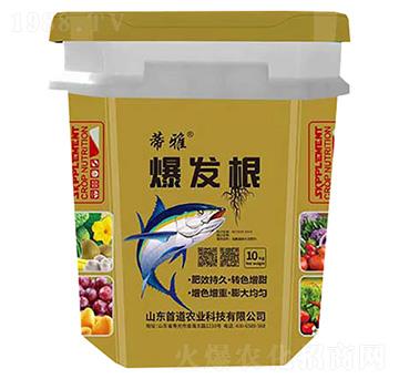 ���l(f��)��-����-�׵��r(n��ng)�I(y��)