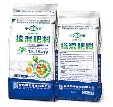 �������19-19-19�����ȣ�-�к�