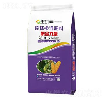 ���׌��ÿ�ጓ������24-11-10-�۹�����-ǧ�S�r(n��ng)�I(y��)