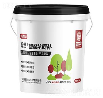 ̼���ͬ�a(b��)-�^��-ʥ������