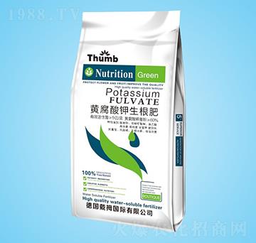 �S�����������-����r�I(y��)