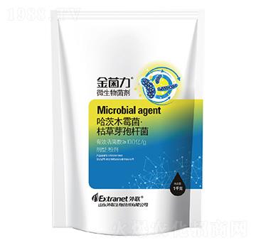 ΢�������-�����-��(li��n)����