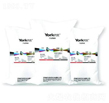 3%���x��w����+1%�׾����fù�`�w����-�_��+������-�s���r��