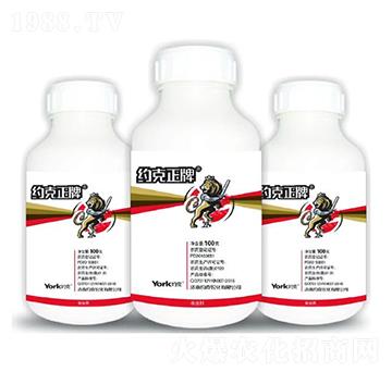 8%���x��Ҹ��N��-�s������-�s���r��