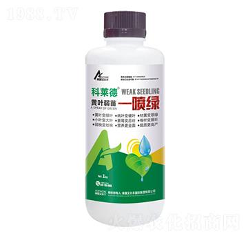 �S�~����һ���G-���R��-��¶�����S