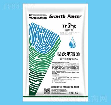 5kg����ľù����10�|�����-����r(n��ng)�I(y��)