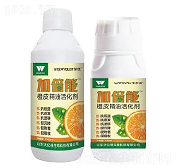 ��Ƥ���ͻ��-�ӱ���-�֠���(y��u)