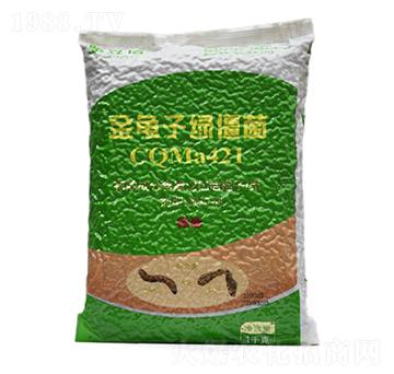 �����ӾG����CQMa421�w����-����������