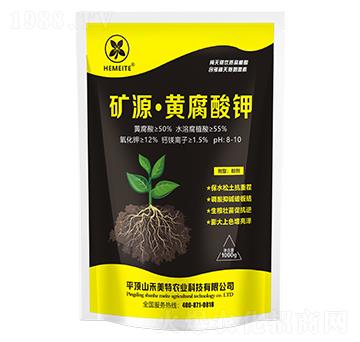 �VԴ���S�����-������