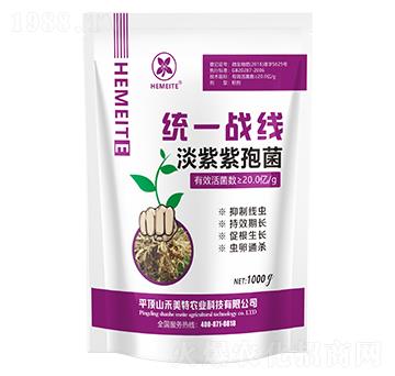 �y(t��ng)һ��(zh��n)���������߾�-������