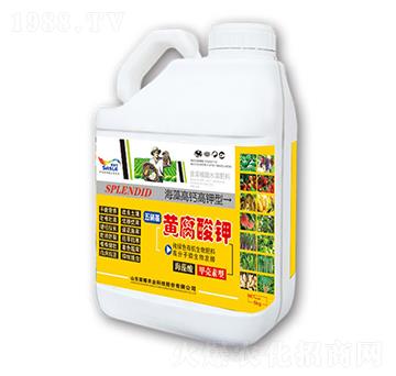 �������S�����-�sҫ�r(n��ng)�I(y��)