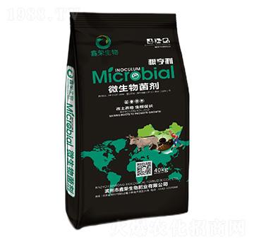 ΢�������-������-�Θs��-�Θs����