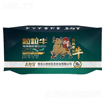 ��������������ĵ���-���ɹ�