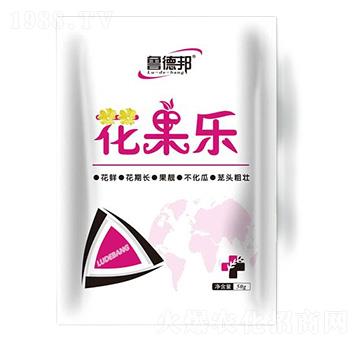 花果樂-魯?shù)掳? />
</div>
</div>
<style type=