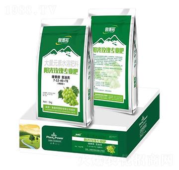 ꖹ�õ�匣�ô���Ԫ��ˮ�ܷʷ���7-12-40+TE-��?sh��)°? />
                                </div>
                            </div>
                            
                            <style type=