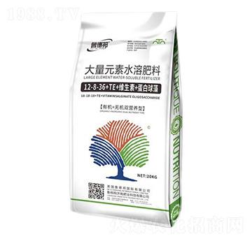 ����Ԫ��ˮ�ܷ���12-8-36+TE+�S����+��������-��?sh��)°? />
                                </div>
                            </div>
                            
                            <style type=