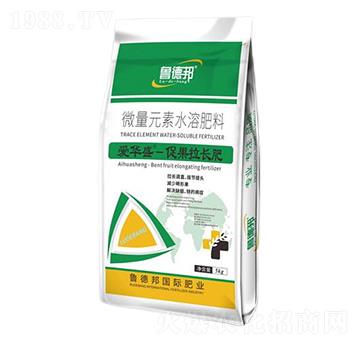 �ٹ����L(zh��ng)��΢��Ԫ��ˮ�ܷ���-���Aʢ-��?sh��)°? />
                                </div>
                            </div>
                            
                            <style type=