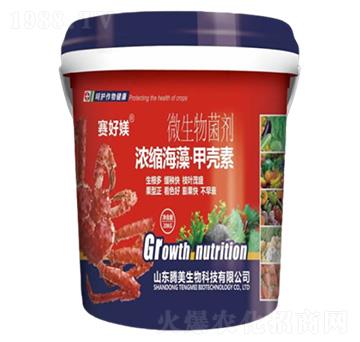 ΢�������-��s���塤�ך���-�v������