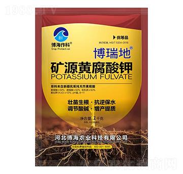 1kg�VԴ�S�����-�����-��������