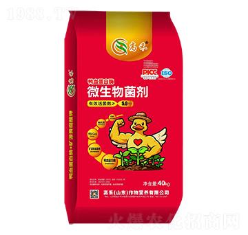 ��Ѫ����ø΢�������-�ߺ�