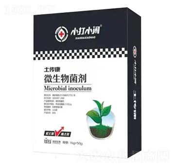 ΢�������-������-С��С�[-��������