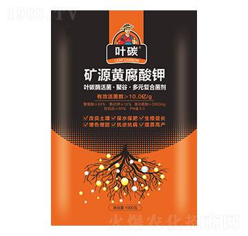 �VԴ�S�����-�~̼-���A�r(n��ng)�I(y��)