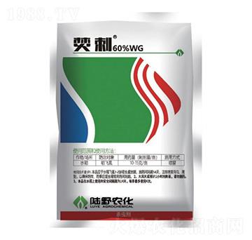 60%ϩड�߻�x��-�ٴ�-�Ұ�r(n��ng)��