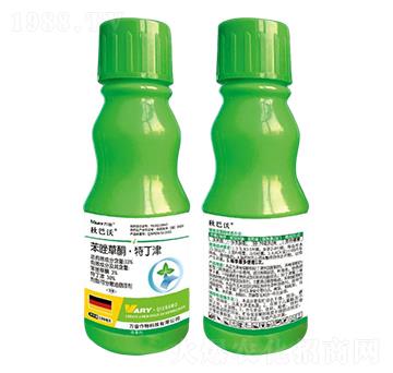 33%�����ͪ���ض���-�����-�f��